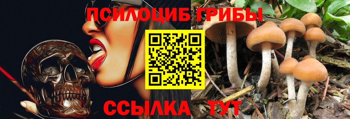 Псилоцибиновые грибы MAGIC MUSHROOMS  Псилоцибиновые грибы прущие грибы  Соликамск  Вход с VPN 