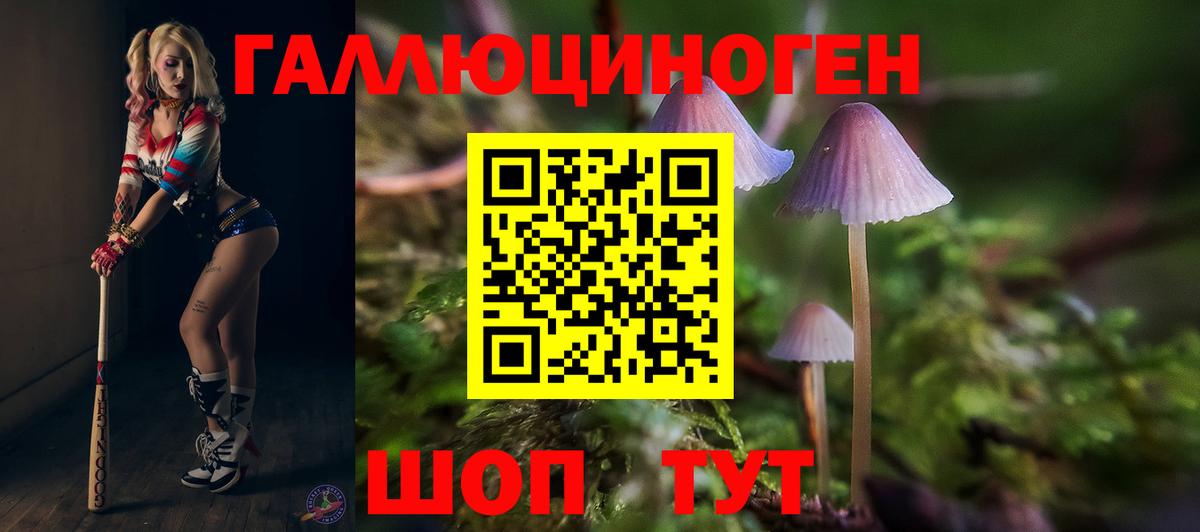 Галлюциногенные грибы Psilocybe Соликамск